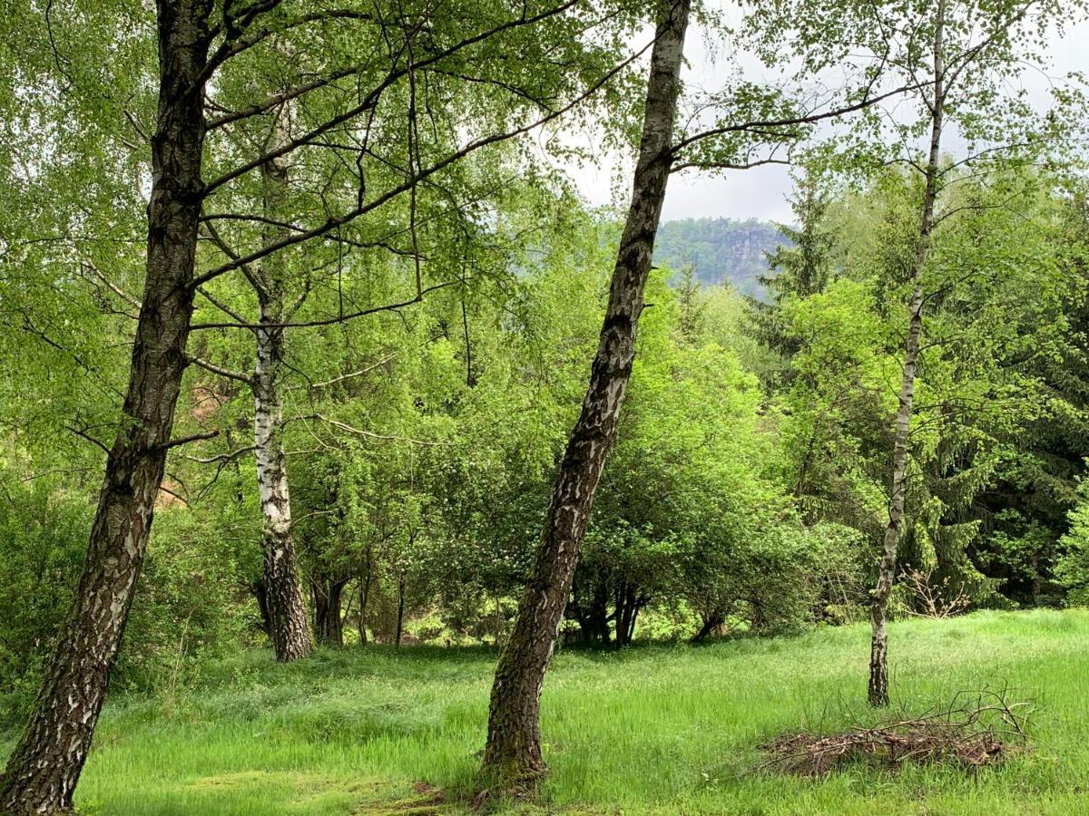 Apartmán Mezná 85 Hřensko Exteriér fotografie