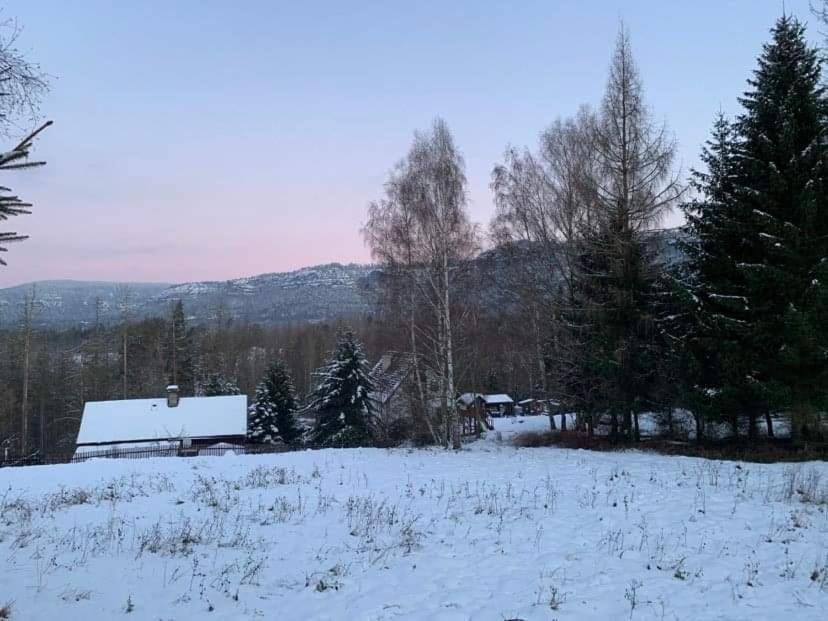 Apartmán Mezná 85 Hřensko Exteriér fotografie