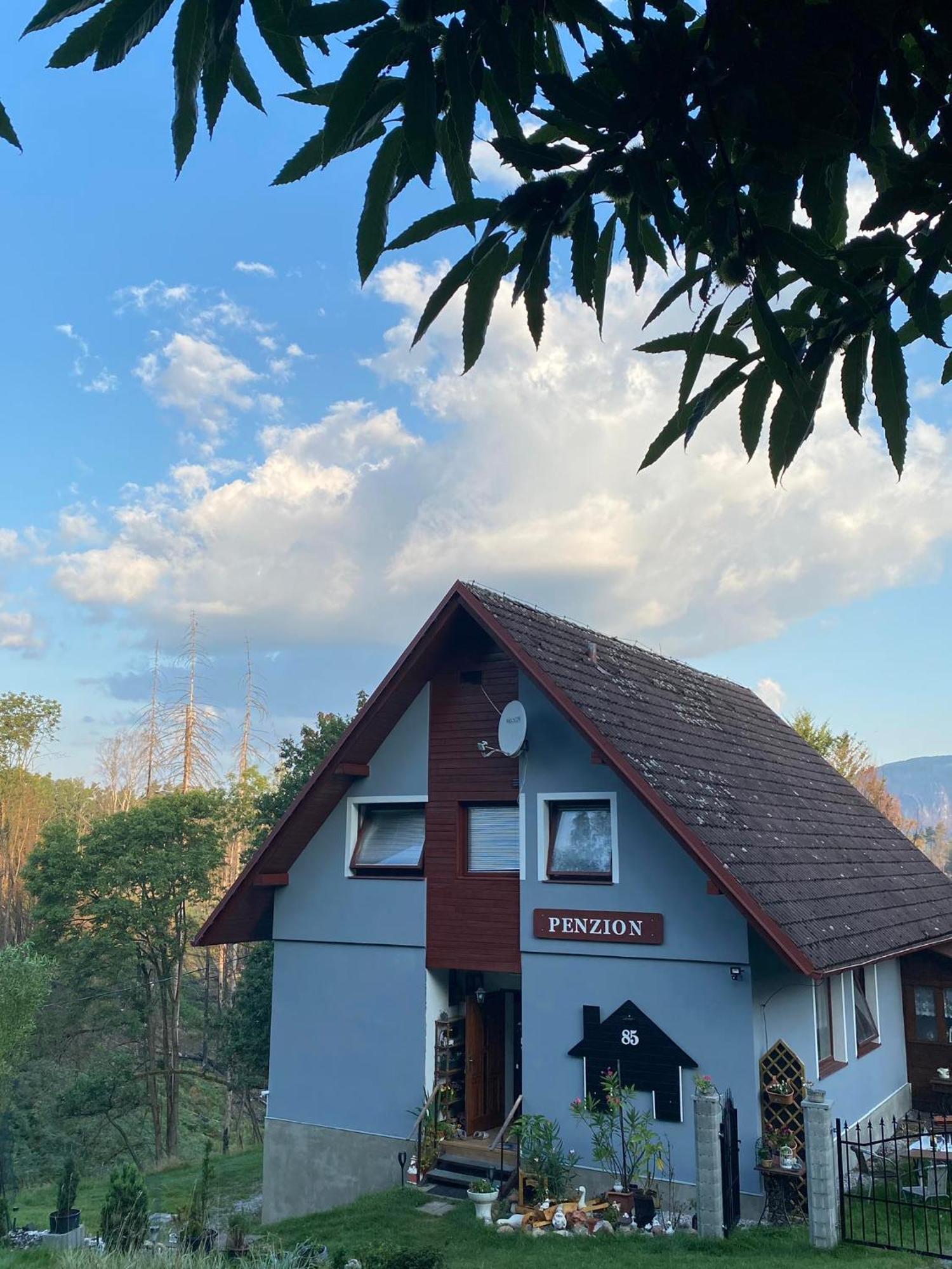 Apartmán Mezná 85 Hřensko Exteriér fotografie